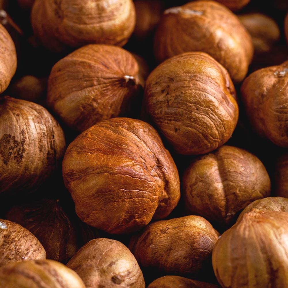 Barista Hazelnut Syrup